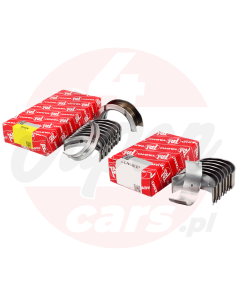 Zestaw panewek Taiho STD Lexus IS200 99-05 1G-FE
