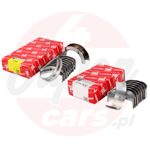 Zestaw panewek Taiho 0.25 Lexus IS200 99-05 1G-FE